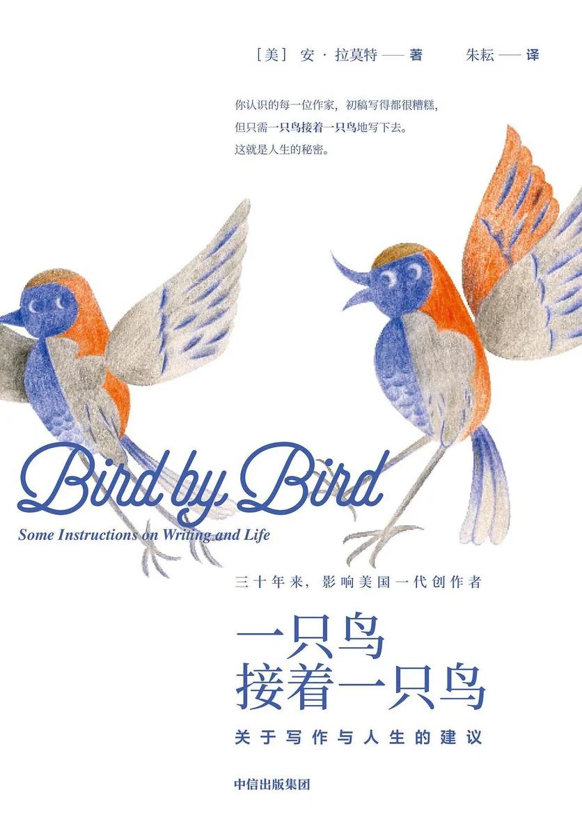 《一只鸟接着一只鸟:关于写作与人生的建议》中文版封面,两只蓝橙色鸟在白色背景上展翅
